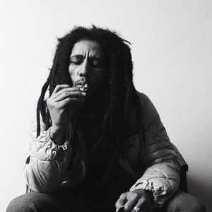 Meet your Posher, Shayne